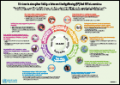 Infographics: Sexual and Reproductive Health and Rights (SRHR) and HIV