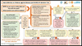 Decision Tree: Data Collection on Violence against Women and COVID-19