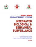 Integrated Biological and Behavioral Survey in Pakistan Summary Report - Punjab: Round 1 - 2005-2006