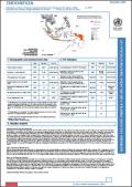 Indonesia: Summary Country Profile for HIV/AIDS Treatment Scale up