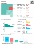 Indonesia Country Snapshot 2021