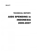 Technical Report: AIDS Spending in Indonesia 2006-2007 (Draft)
