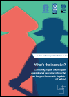 What’s the Incentive? Comparing Regular and Irregular Migrant Work Experiences from the Lao People’s Democratic Republic to Thailand