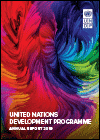 Annual Report 2019. UNDP. (2020)
